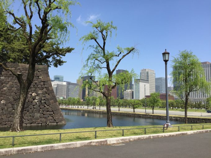 皇居の後ろに見えるビル群