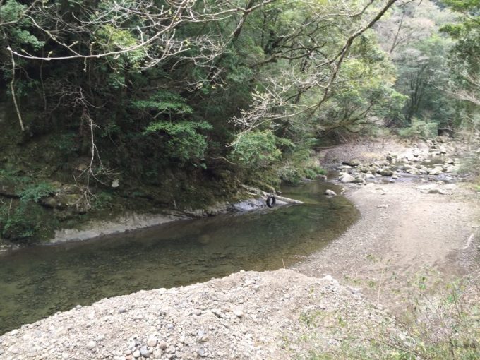 川にせり出した木にかけられたタイヤブランコ