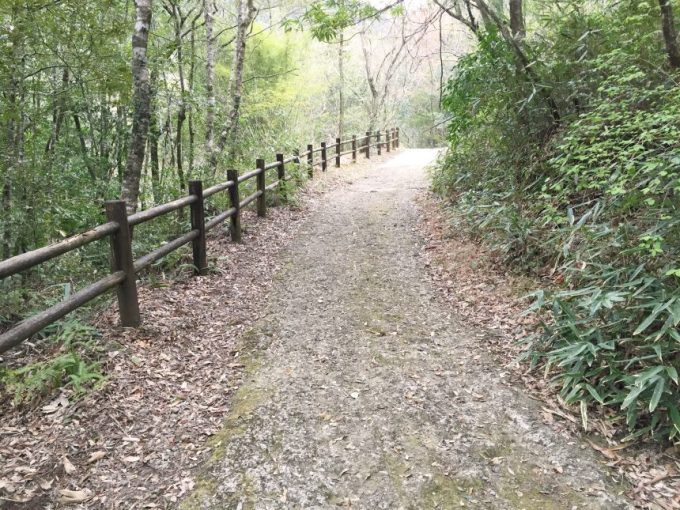 整備された土の遊歩道