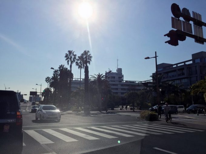 宮崎市役所の全景