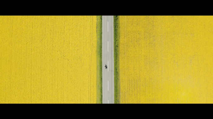 両脇を黄色の菜の花に囲まれた道路を走る一台のバイクを真上から撮影した画像（動画キャプチャ）