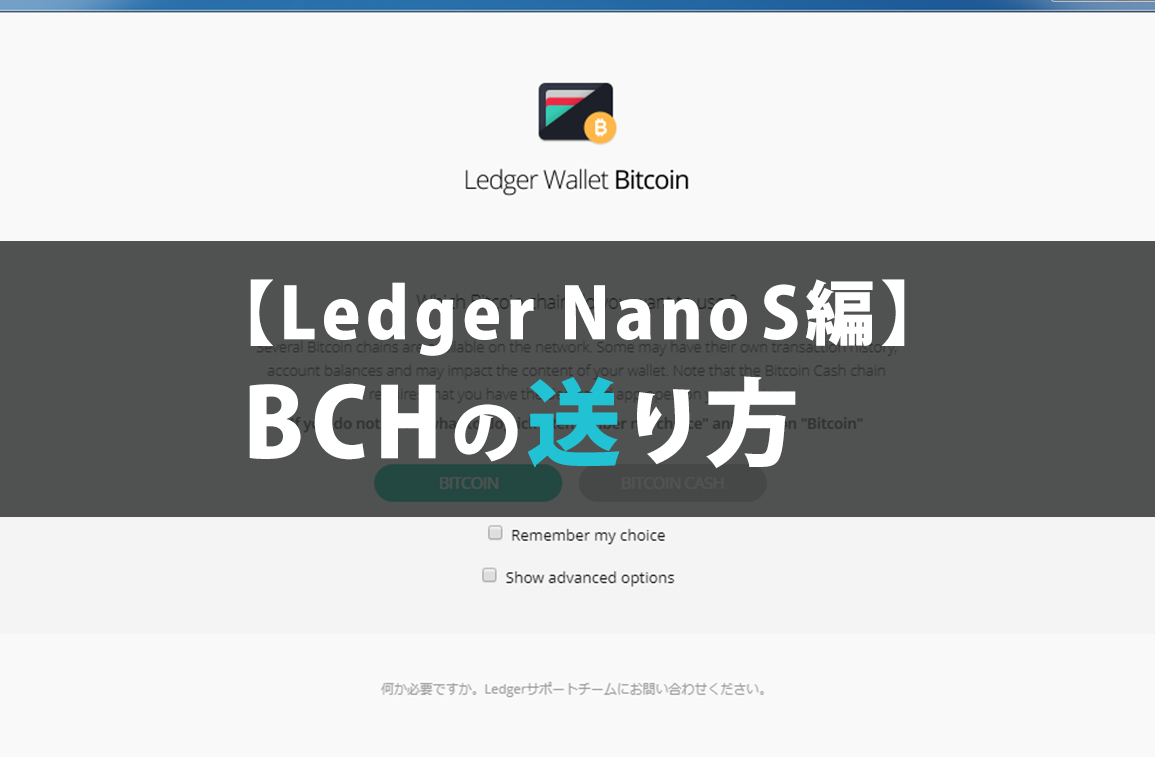 【Ledger Nano S編】BCHの送り方