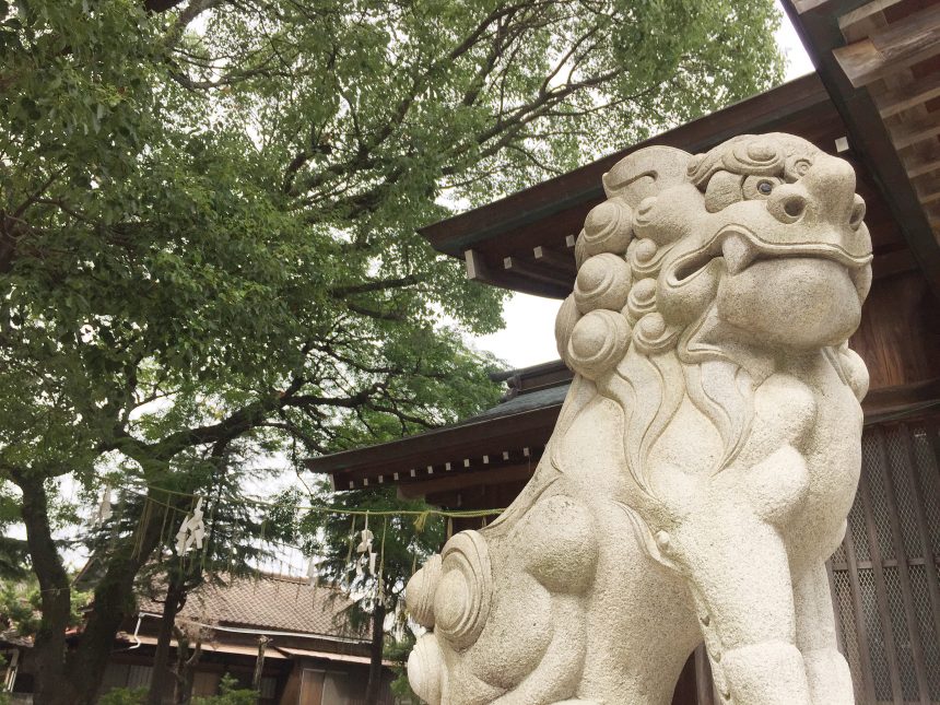 神社を背景に撮影した、吽形（うんぎょう）で口を閉じた狛犬