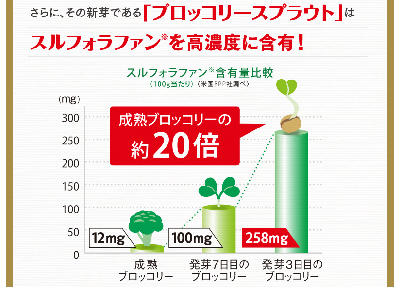 成熟ブロッコリーの20倍の含有量比較グラフ